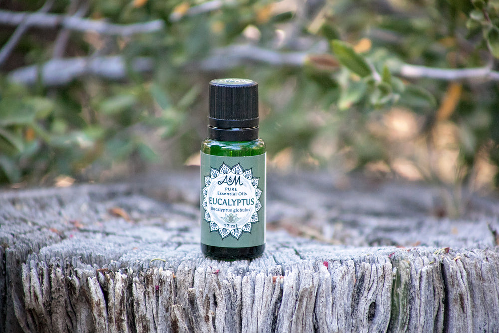 Eucalyptus Pure Essential Oil - 17mL & 60mL sizes