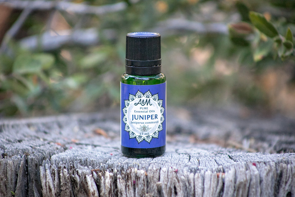 Juniper Berry Pure Essential Oil - 17mL & 60mL sizes