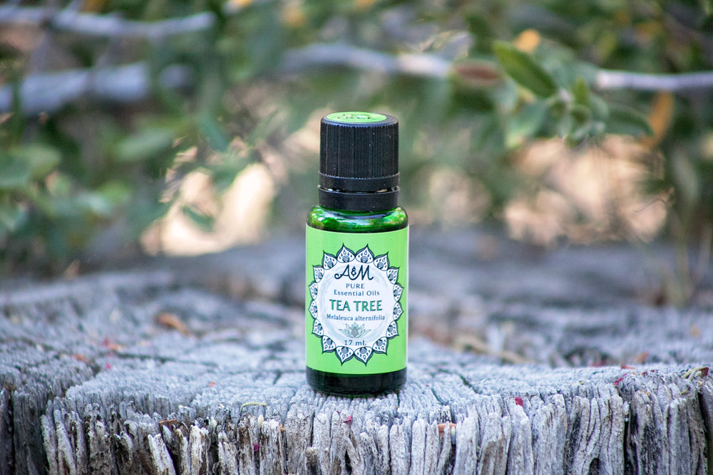 Tea Tree Pure Essential Oil - 17mL & 60mL sizes